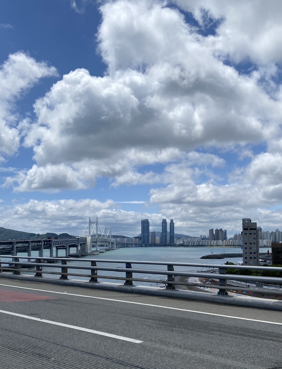 오늘은 맑다